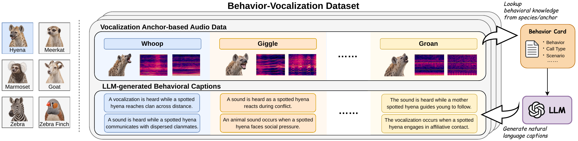 Overview of the BeVo dataset construction pipeline